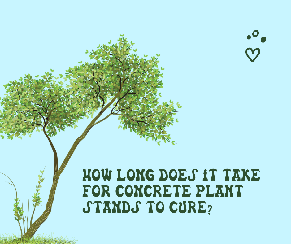 How Long Does It Take for Concrete Plant Stands to Cure?
