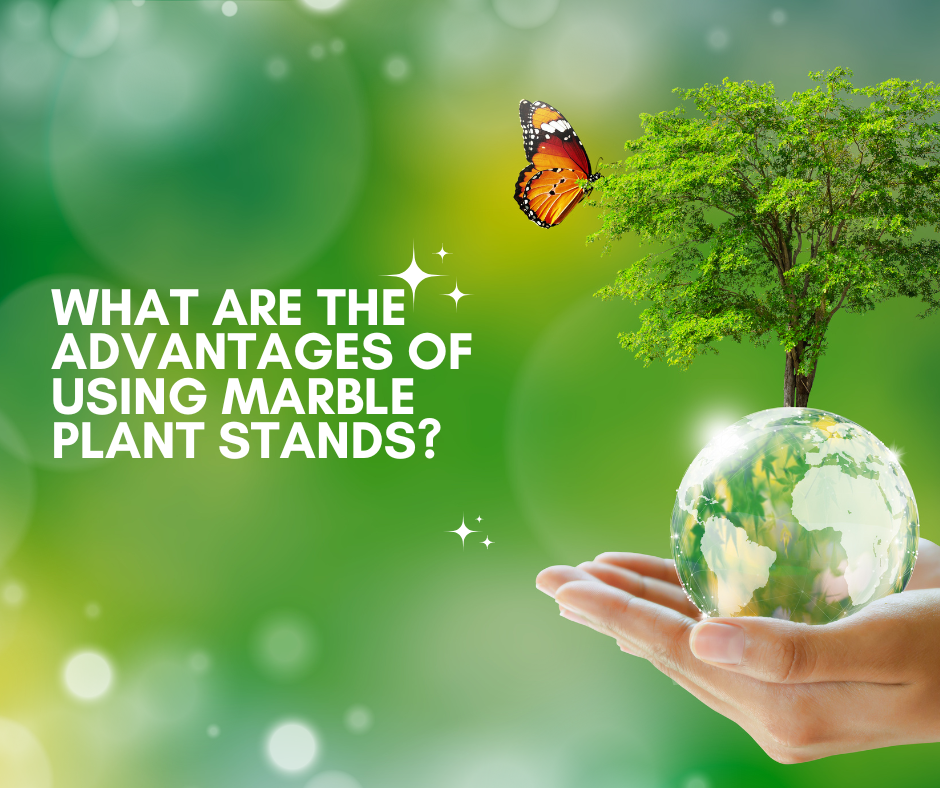 What are the advantages of using marble plant stands?