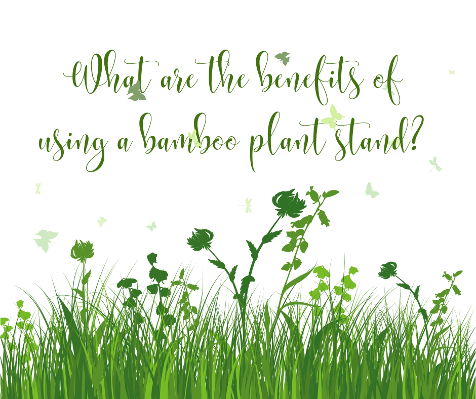 What are the benefits of using a bamboo plant stand