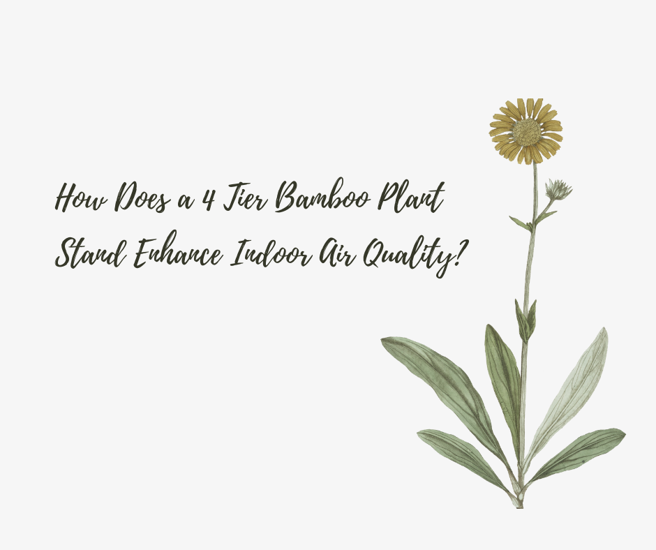 How Does a 4 Tier Bamboo Plant Stand Enhance Indoor Air Quality?